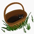 black cat sitting in a wicker basket Royalty Free Stock Photo